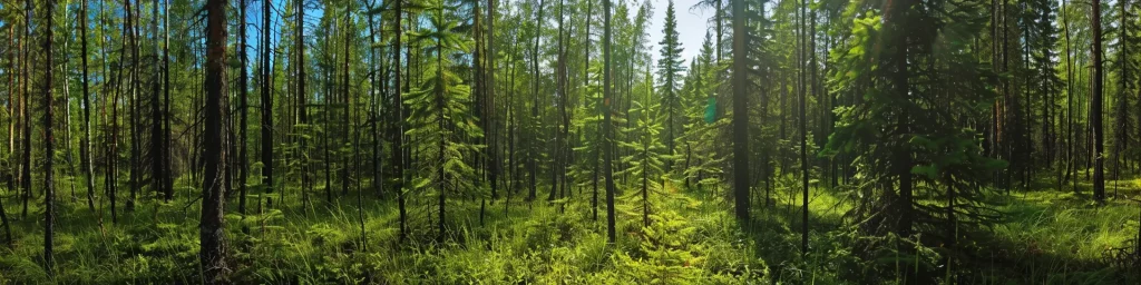 Sequestration Projects